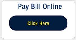 Image of online bill pay button on WWU website